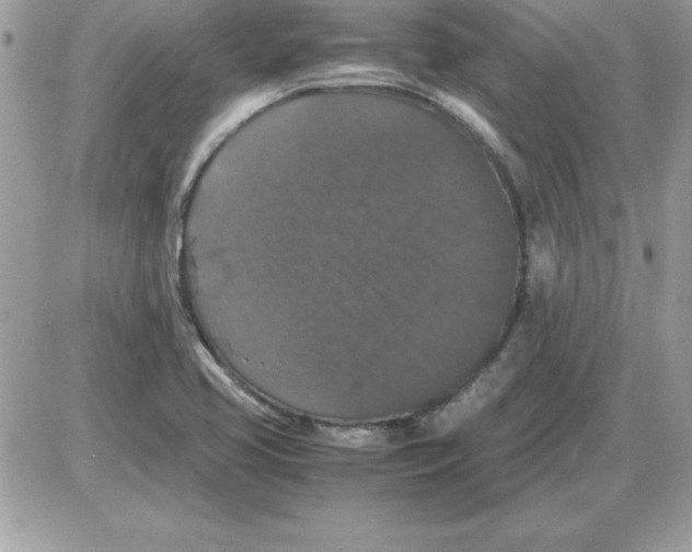 X0000085811413200704131935