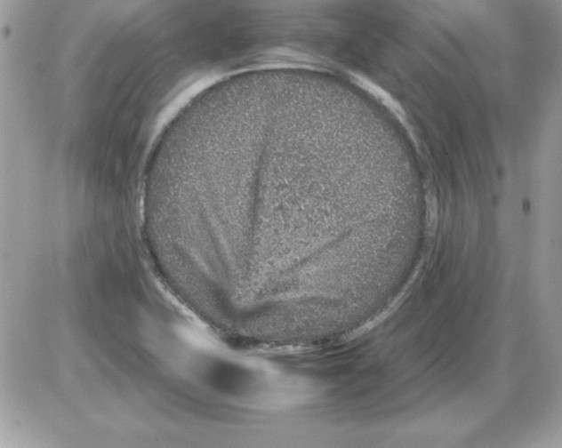 X0000085811415200704131935