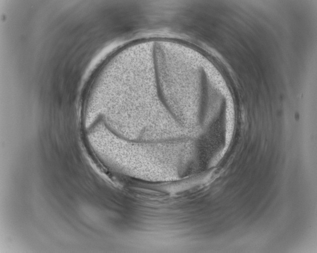 X0000085811416200704131935