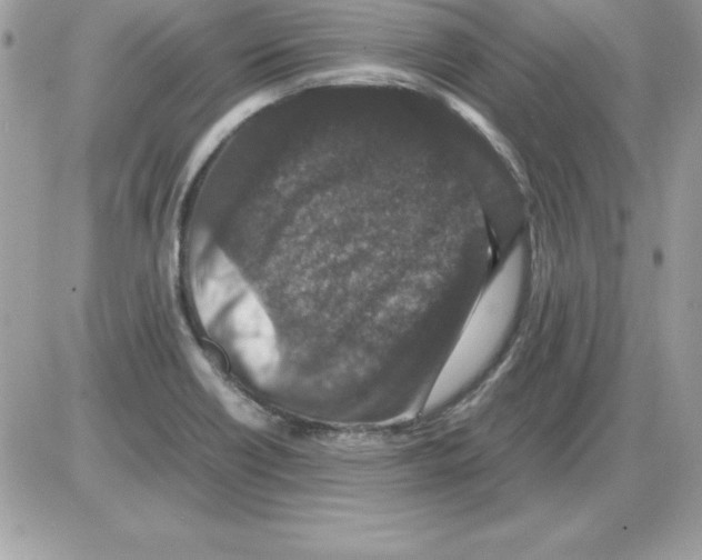 X0000085811418200704131935