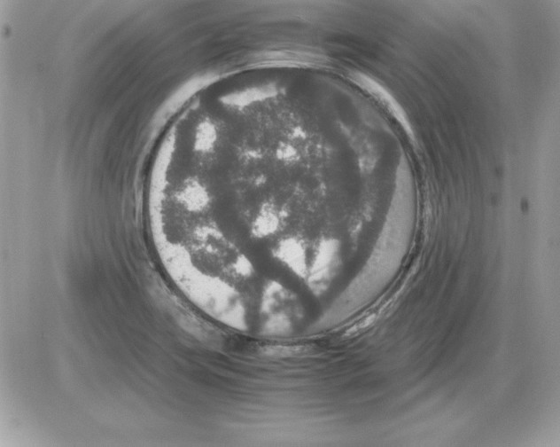 X0000085811419200704131935