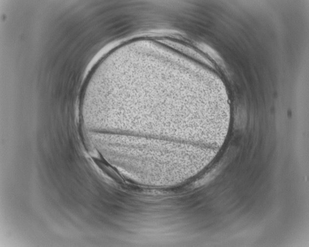 X0000085811420200704131935