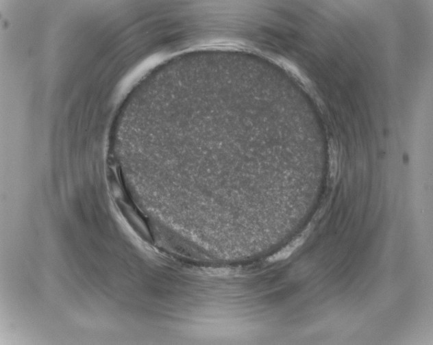 X0000085811422200704131935