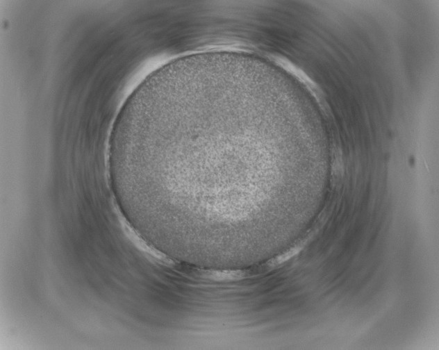 X0000085811423200704131935