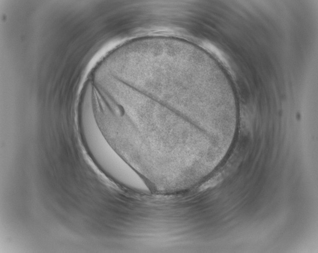 X0000085811424200704131935