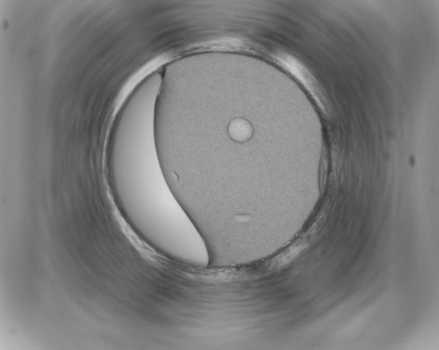 X0000085811426200704131935