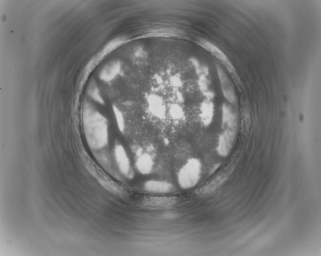 X0000085811427200704131935