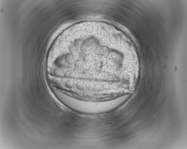 X0000085811432200704131935