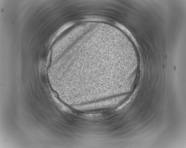 X0000085811433200704131935