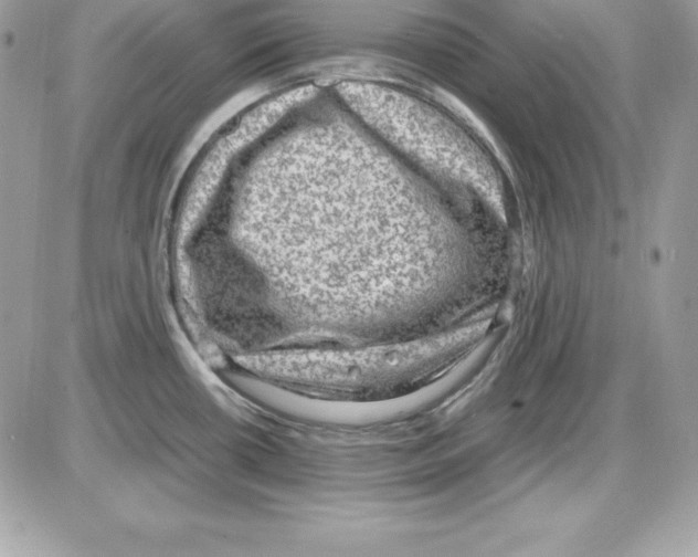 X0000085811434200704131935