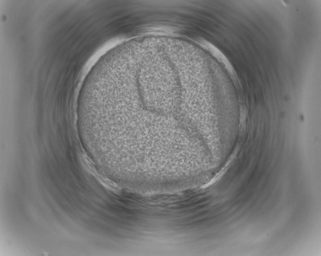 X0000085811435200704131935