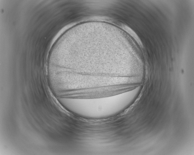 X0000085811436200704131935