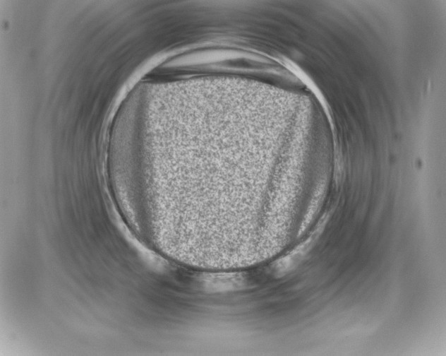 X0000085811437200704131935