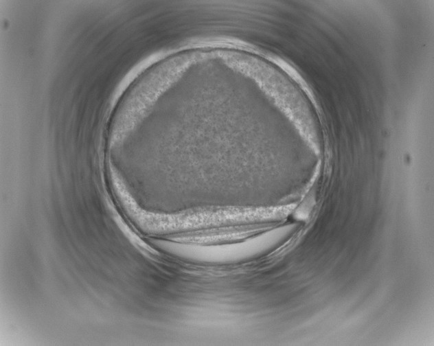 X0000085811438200704131935