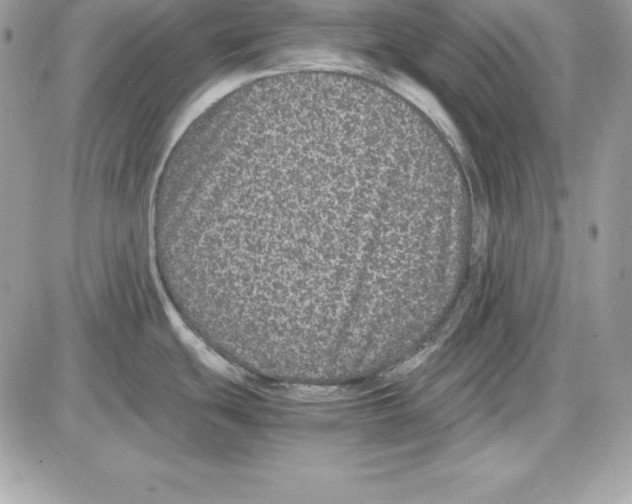 X0000085811439200704131935