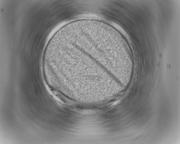 X0000085811440200704131935