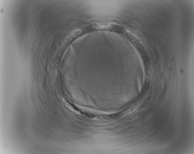 X0000085811441200704131934