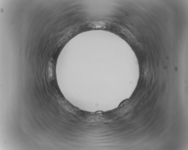 X0000085811442200704131934