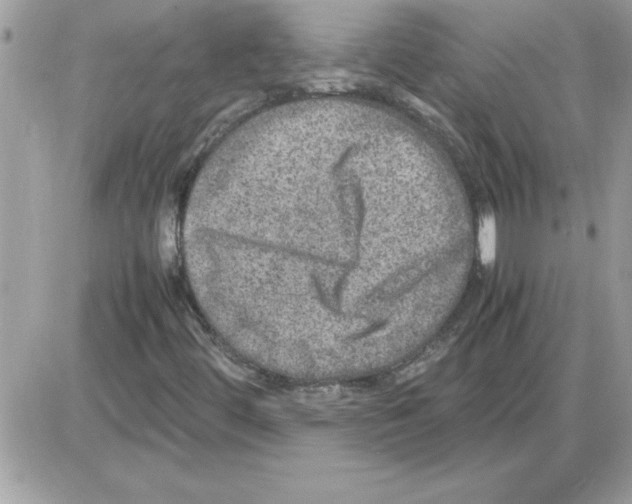 X0000085811444200704131934