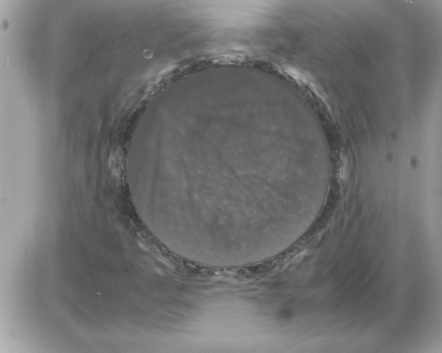 X0000085811445200704131934