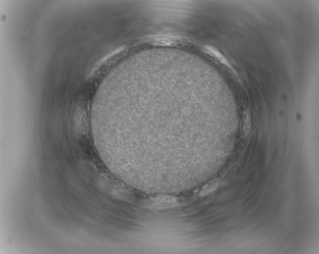 X0000085811446200704131934