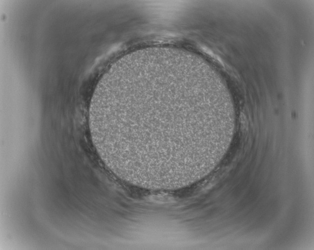 X0000085811447200704131934