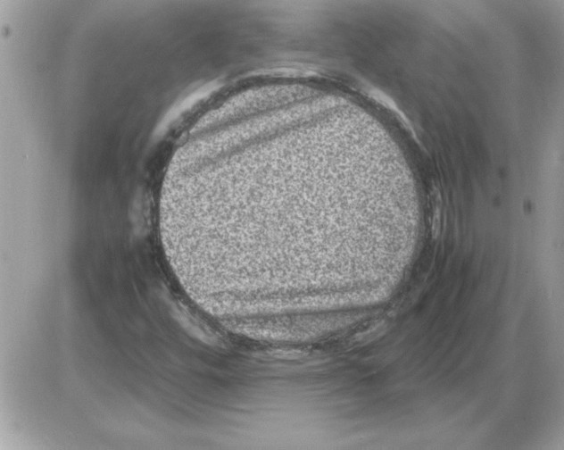 X0000085811448200704131934