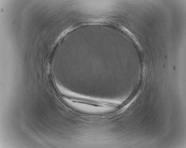 X0000085811449200704131934