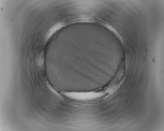 X0000085811450200704131934