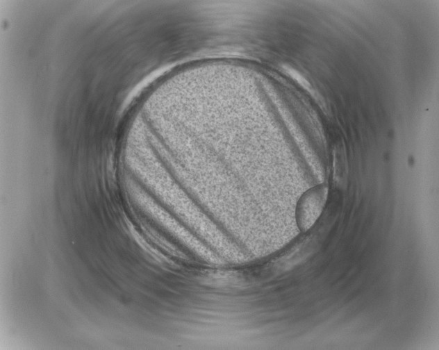 X0000085811452200704131934