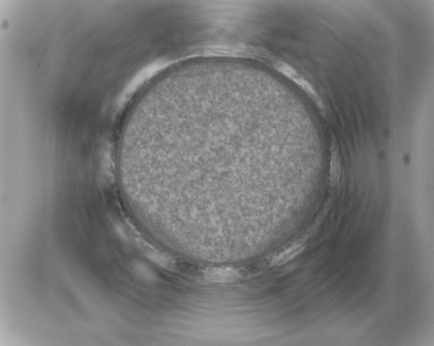 X0000085811454200704131934