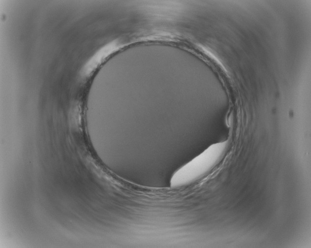 X0000085811455200704131934