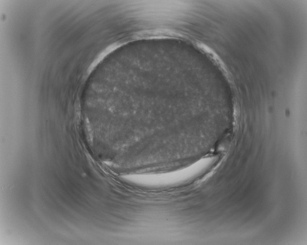 X0000085811457200704131934