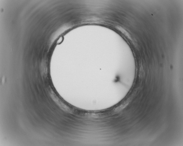 X0000085811458200704131934