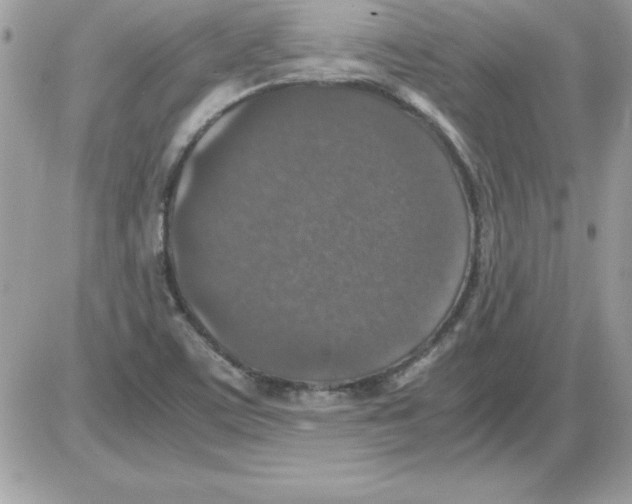 X0000085811459200704131934