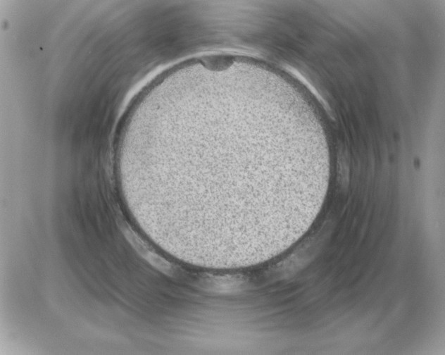 X0000085811460200704131934