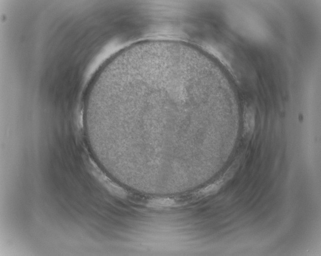 X0000085811462200704131934