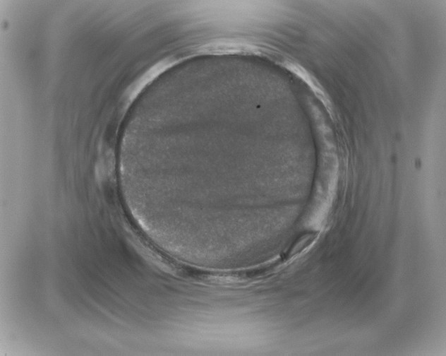 X0000085811465200704131934