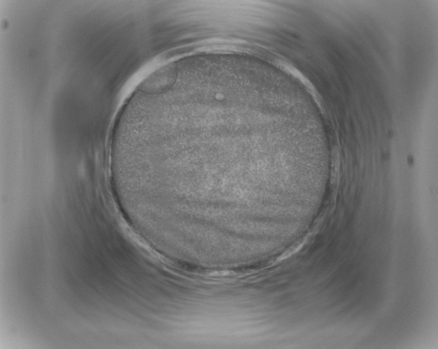 X0000085811467200704131934