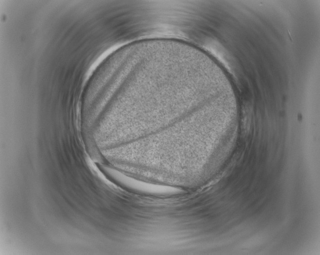 X0000085811468200704131934