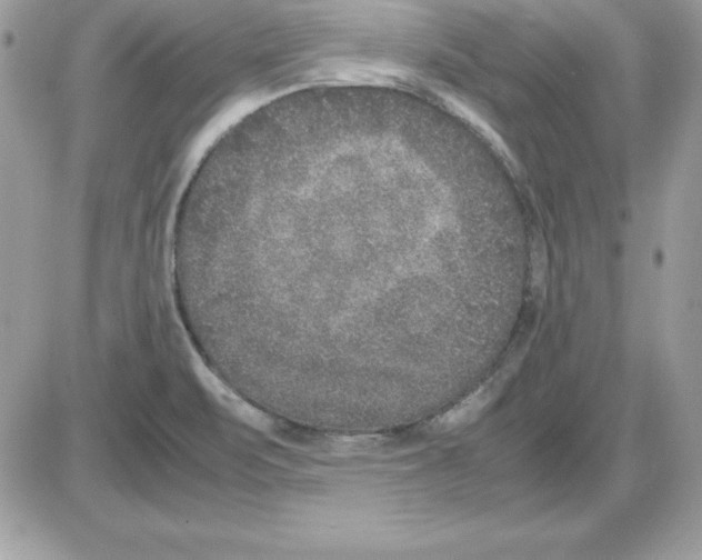 X0000085811471200704131934