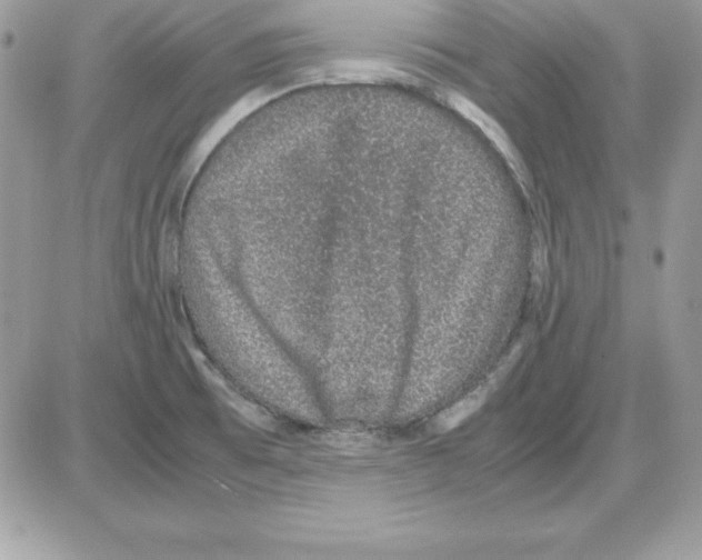 X0000085811473200704131934