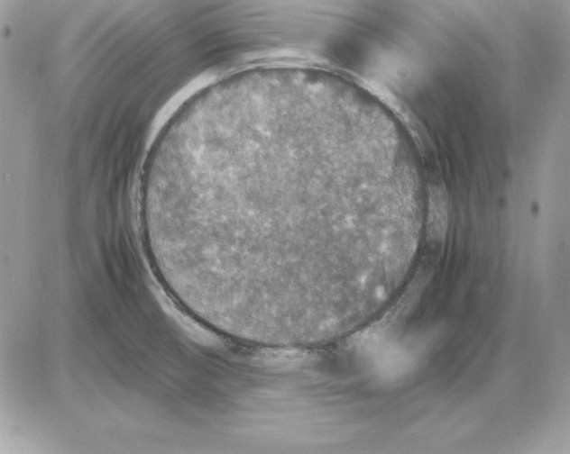 X0000085811474200704131934