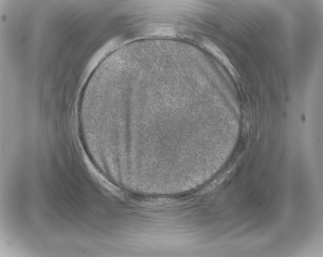 X0000085811475200704131934