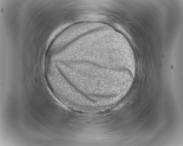 X0000085811477200704131934