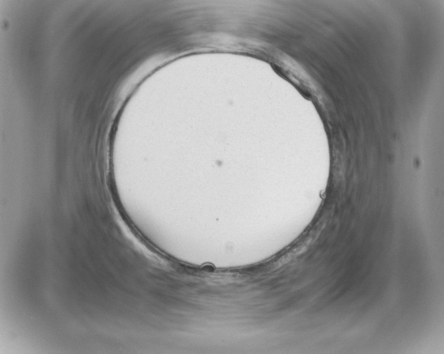 X0000085811479200704131934