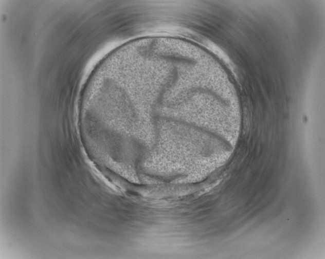 X0000085811480200704131934