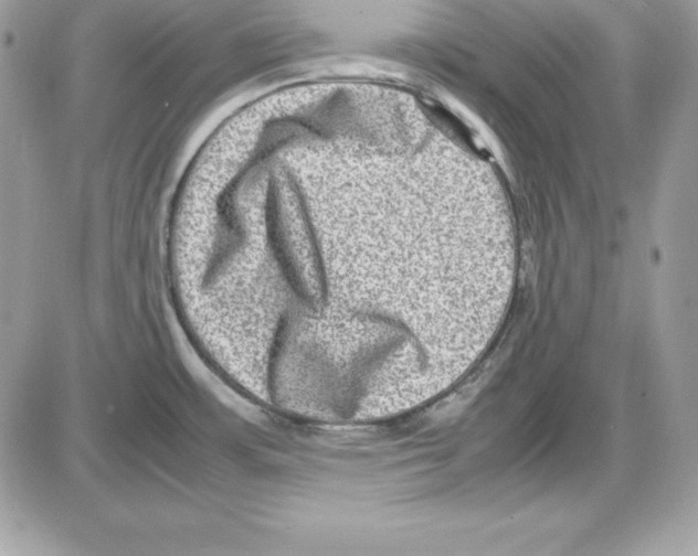 X0000085811483200704131934