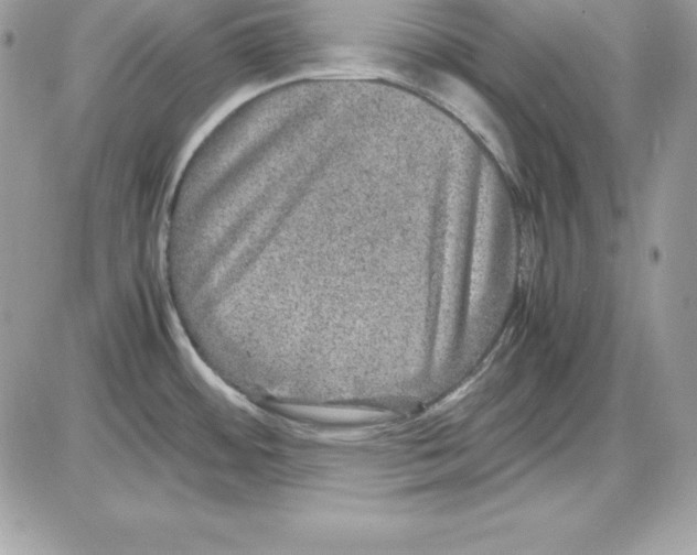 X0000085811484200704131934