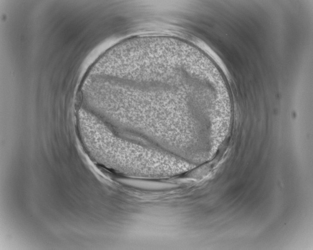 X0000085811485200704131934